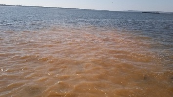 Саратов назван в числе злостных загрязнителей Волги сточными водами