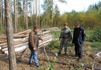 Патрулирование усилено в лесах Ульяновской области