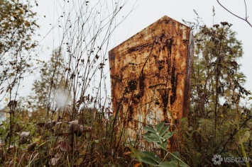 Власти Березовского продадут срубленные ради расширения кладбища сосны