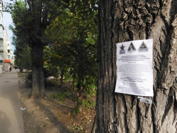 В Ленинском районе деревья "изуродовали" рекламными объявлениями