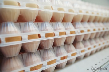 Российские торговые сети поднимут цены на куриные яйца и мясо
