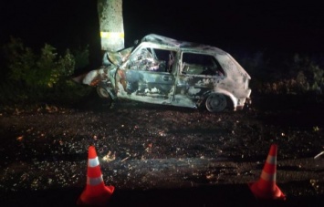 В Калининградской области машина врезалась в дерево и сгорела вместе с водителем (фото)