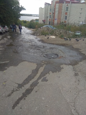 Жители домов в Октябрьском районе: "Гадиловка. Крысы табунами бегают"