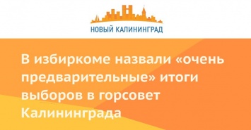В избиркоме назвали «очень предварительные» итоги выборов в горсовет Калининграда