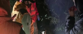 В калужском лесу обессиленного грибника нашли при помощи вертолета и дыма (видео)