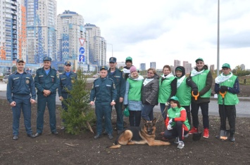Зеленая дружина СГК высадила деревья в Кемерове