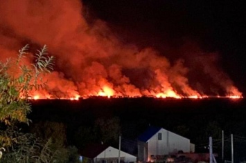 Сопка и болото горят в Петропавловске-Камчатском