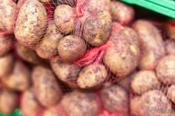 Кузбасские власти связали рост цен на картофель с собственными затратами