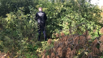 Грибники нашли в лесу тело умершего три месяца назад мужчины