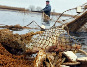 В Белгородской области поймали браконьера на Старооскольском водохранилище