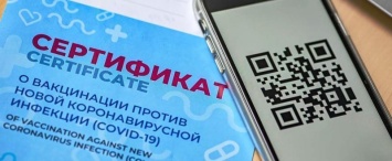 Бизнес-омбудсмен Татулова предлагает требовать QR-код при продаже алкоголя