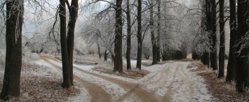 Синоптики ожидают выпадение первого снега в Калуге