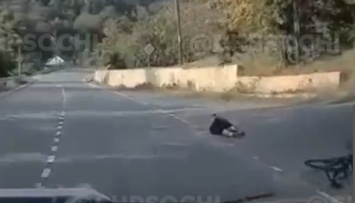 В Сочи на видео собака сбила велосипедиста. Тот серьезно пострадал