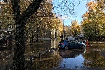 Мы понимали, что так будет: Дятлова прокомментировала потоп на улицах города