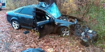 На Кубани водитель и пассажир Audi погибли из-за превышения скорости