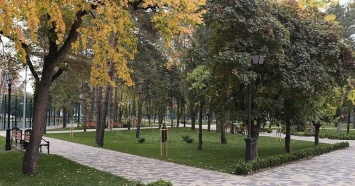 С начала года в Краснодарском крае благоустроили более 120 зеленых зон