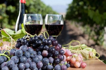 На Кубани расширят господдержку для виноградарей и виноделов
