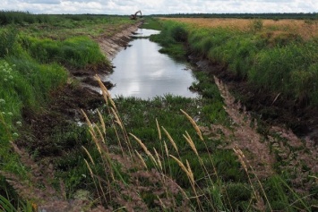 Областные власти хотят очистить в 2022 году 2 реки, важных для нереста и мелиорации
