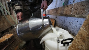 В России ожидается подорожание молочных продуктов