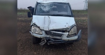 Водитель врезавшейся в столб «Газели» с 4 пострадавшими был лишен прав
