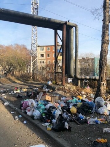 В Петропавловске вместо демонтированной контейнерной площадки образовалась свалка мусора