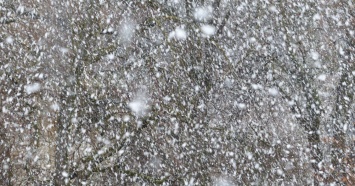 Снег, резкое похолодание и сильный ветер: на Краснодарский край обрушится непогода