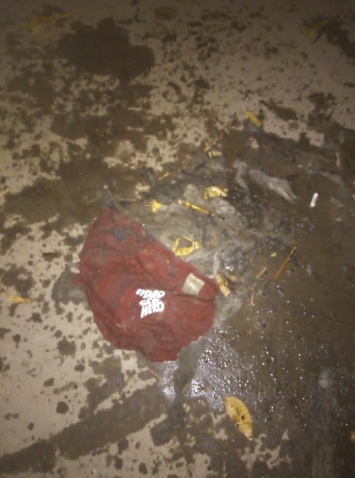 Работники "КВС" нашли красные трусы "героя" в городской канализации