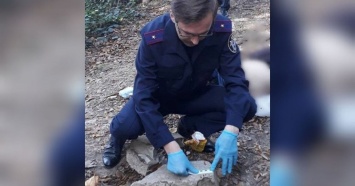 В Сочи в лесополосе нашли тело убитой женщины