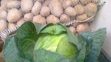 В Казахстан вернули тонну картофеля, капусты и муки