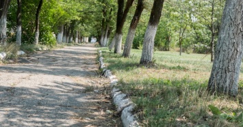 В Екатеринбурге общественники снова планируют борьбу за сквер