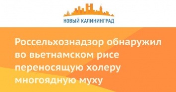 Россельхознадзор обнаружил во вьетнамском рисе переносящую холеру многоядную муху