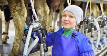В Краснодарском крае зарегистрировано 56 перерабатывающих сельхозкооперативов