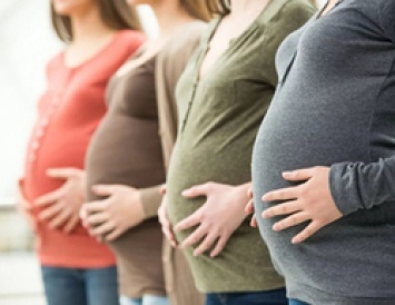 В Белгородской области беременным женщинам отказывали в новой выплате в 83% случаев