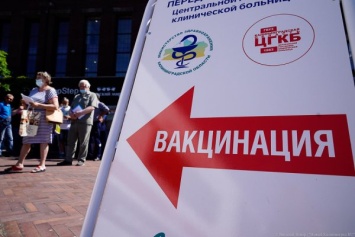 В МВД рассказали об уголовных делах в Калининграде из-за поддельных сертификатов о вакцинации