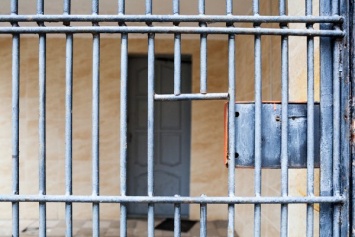 Вышедшего на одиночный пикет калининградца суд арестовал 14 суток за нецензурную брань