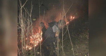 В Краснодарском крае потушили лесной пожар на площади 5,2 га