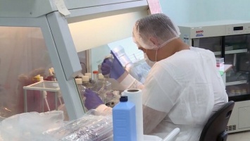 Новый тест на коронавирус разработали ульяновские ученые