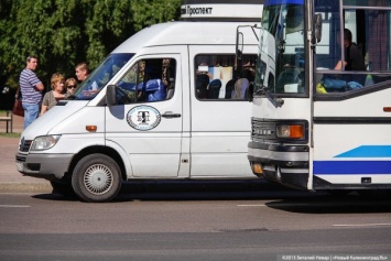 В Калининграде фиксируют рост интервалов между автобусами из-за нехватки водителей