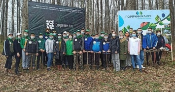 Более 23 тысяч саженцев высадили на Кубани в рамках акции «Сохраним лес»