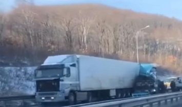 ДТП с двумя фурами и грузовиком произошло на трассе в Приморье