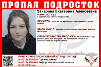 Поисковики разыскивают 14-летнюю школьницу из Светлогорска, пропавшую два дня назад