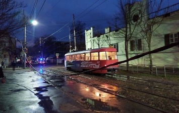 В Краснодаре ветер повалил деревья и остановил трамваи