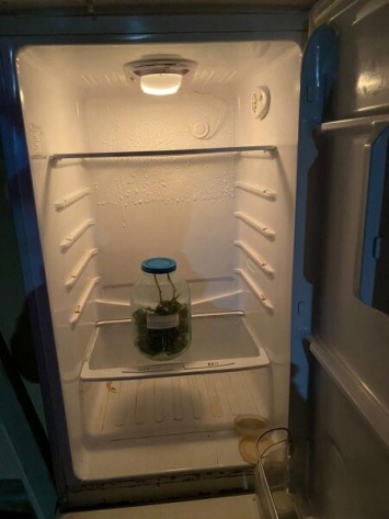 Житель Ялты хранил в холодильнике марихуану