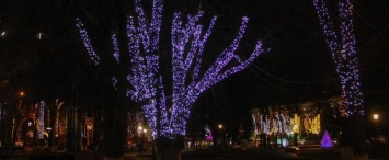 В Калуге планируется установить 28 новогодних елок