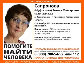 Волонтеры объявили поиски исчезнувшей в ноябре кузбасской пенсионерки