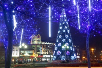 Горвласти хотят заменить новогоднюю елку на площади Победы опять на искусственную