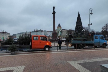В Калининграде перед Новым годом хотят расставить на улицах 200 сосен и елок за 4 млн рублей