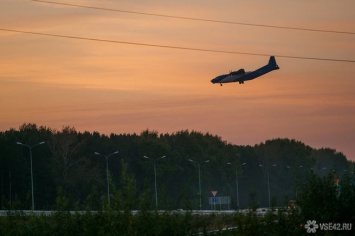 Совершивший экстренную посадку в Германии самолет столкнулся с грузовиком