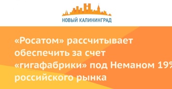 «Росатом» рассчитывает обеспечить за счет «гигафабрики» под Неманом 19% российского рынка