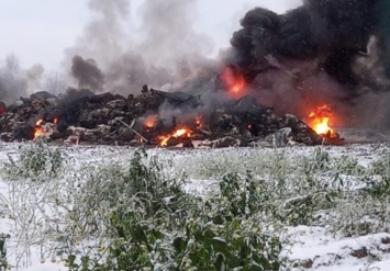 СК проверяет информацию о массовом сжигании трупов животных в Калининградской области